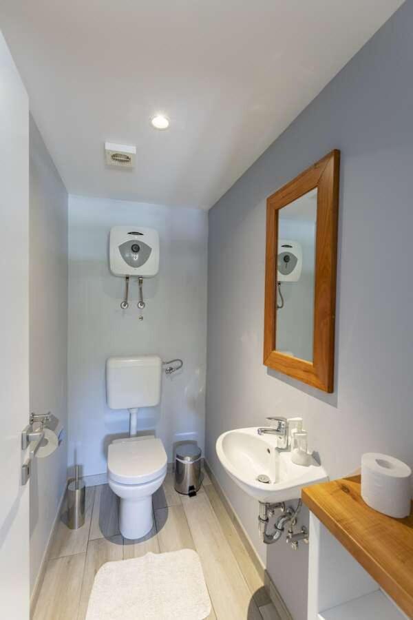 Villa Viscum In Central Istria For 8 Persons With Large Garden - Pet Friendly Pazin Luaran gambar